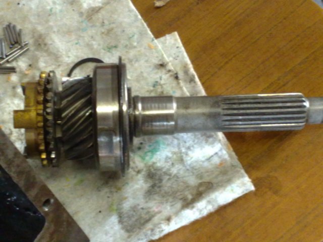 photo11.jpg